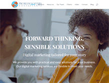 Tablet Screenshot of problemsolversconsultants.com
